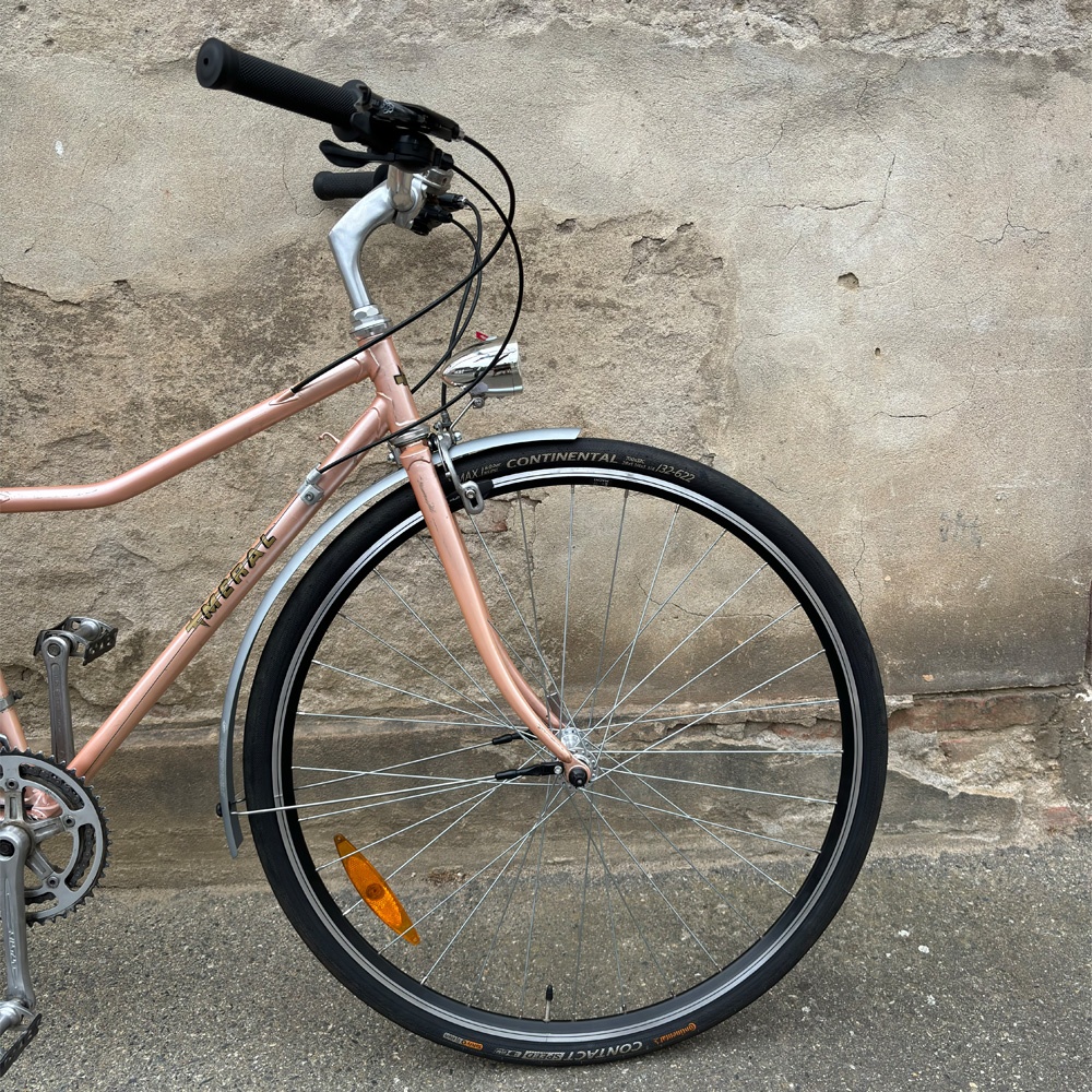 Francette, Méral - Vélo d'occasion 