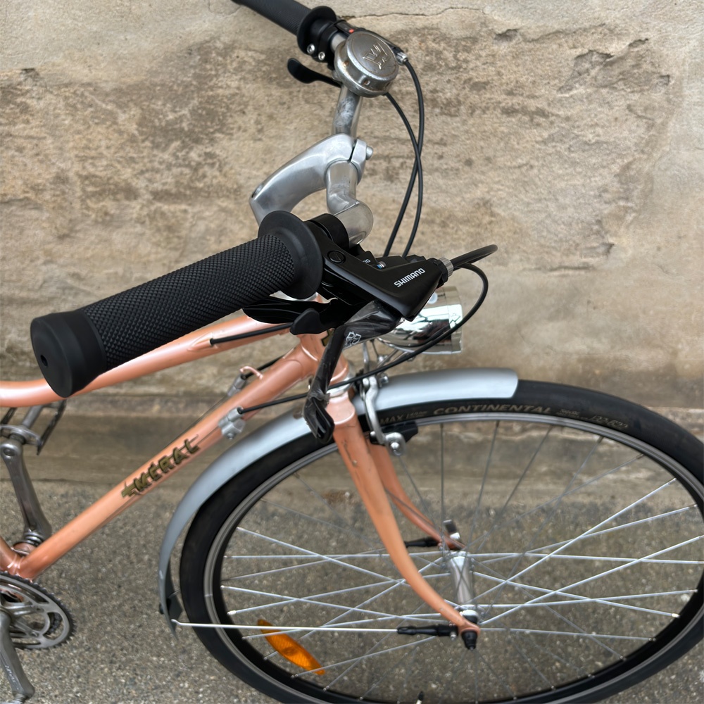 Francette, Méral - Vélo d'occasion 